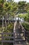 The wooden upstairs lead to the park with plants on the both side