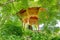 Wooden veranda in the summer garden