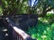 WOODEN VIEWING PLATFORM AND RAILINGS AT WONDERBOOM FIG TREE COMPLEX