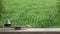 Wooden vintage table or shelf with stone balance, over blurred meadow panorama with green grass, feng shui, zen concept architectu