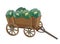 Wooden wagon with harvest cabbage on a white background