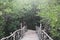 Wooden walk bridge decorated with white rope leading eyes into t