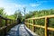 Wooden Walk Trail in Nature