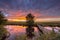 Wooden walking bridge