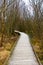 Wooden walking path to enter the woods