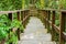 Wooden walking way in hill evergreen forest