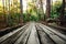 A wooden walkway