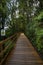 Wooden walkway along Milford Sound