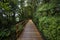 Wooden walkway along Milford Sound