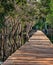 Wooden walkway at Angkor Wat Cambodia