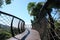 Wooden walkway Boomslang in the tree canopy at Kirstenbosch Botanical Gardens in Cape Town, South Africa