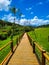 Wooden walkway in the contryside leading to the Buraco do Padre cave, in the state of Paraná, Brazil.