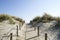 Wooden walkway in the dunes