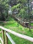 Wooden Walkway at El ParaÃ­so Park in Cuenca, Ecuador