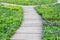 Wooden walkway among the flower lawn