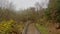 Wooden walkway through a foggy wicklow mountains landscape in early spring