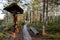 Wooden walkway in the forest