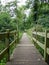 A wooden walkway in the forest