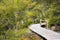 Wooden walkway GeoThermal area Orakei Korako in New Zealand