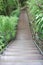 Wooden walkway with handrail in the forest