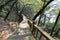 Wooden walkway by the lake of tianzhushan mountain