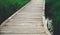 The wooden walkway lined up with grass and rice and water alongside