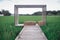 The wooden walkway lined up with grass and rice and water alongside