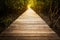 Wooden walkway in mangrove park