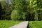 Wooden walkway through marshland