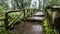 Wooden walkway with Moss around the in rain Grain and fog forest in the morning at Chiang Mai Province, Thailand shooting by Smart