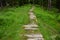 Wooden walkway in a nature reserve in a spruce forest in the mountains over a waterlogged peat bog, gray solid wood across 1m wide