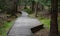 Wooden walkway in a nature reserve in a spruce forest in the mountains over a waterlogged peat bog, gray solid wood across 1m wide