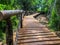 Wooden walkway nature walk on a forest