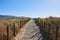 Wooden walkway over natural dunes in Vao beach, Vigo