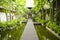 Wooden walkway over pond.