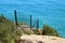 Wooden walkway over the seafront promenade along the sea in of the Mediterranean