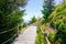 Wooden walkway path stairs go to puy de dome french mountains volcano