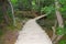 Wooden walkway on plitvice park