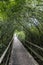 Wooden Walkway, Steinhuder Meer, Germany