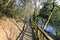 Wooden walkway in tianzhushan mountain