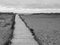 Wooden walkway to beach and horizon with beach huts and dunes