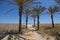 Wooden walkway towards Pine Beach in Grao