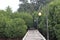 Wooden Walkway Uniting Mangroves for Conservation and Exploration