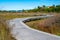 Wooden walkway through wetlands