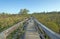 Wooden Walkway into a Wilderness Bog