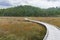 Wooden walkway winding through wetland reed towards native bush