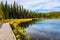 Wooden walkways on the lake