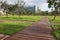 Wooden walkways in the park. A green lawn and a growing shrub.