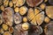 Wooden wall as background. Wall made of round wood, round, stump. Logs in a stacked wall. Texture of wood. Can use as wallpaper.