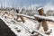 Wooden wall covered by snow in winter season of Yellowstone